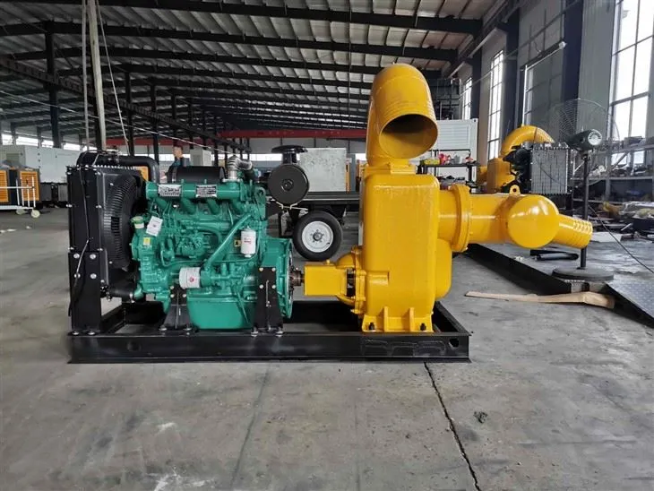 IMG_202411295317_4000x3000